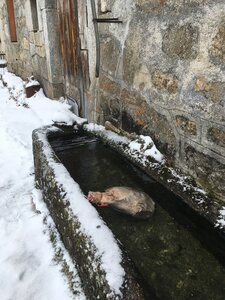 Margeride, IMG_0494_jambon_fontaine