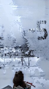 Margeride, IMG_E0493_moins5