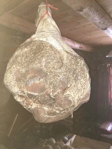 Margeride, IMG_0503_jambon_flash