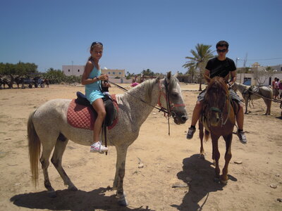 Tunisie2012, Copie de DSCN1722