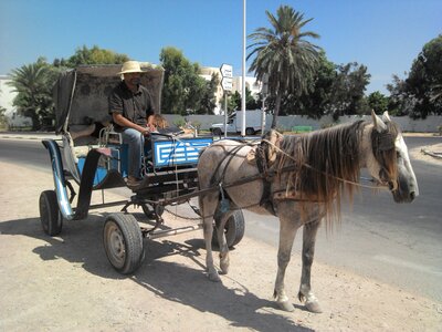 Tunisie2012, Copie de IMG_20120723_111839