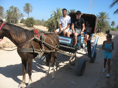 Tunisie2012, Copie de IMG_8474