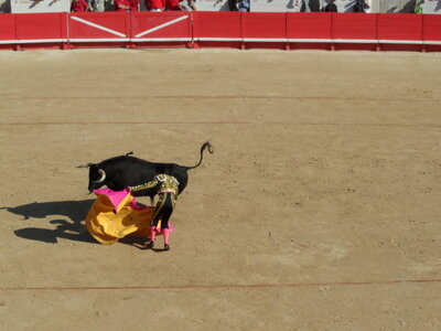 Corrida 21-05-2010, Corrida 22-05-2010 18-10-49