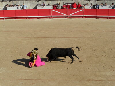 Corrida 21-05-2010, Corrida 22-05-2010 18-10-59