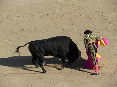 Corrida 21-05-2010, Corrida 22-05-2010 18-11-12