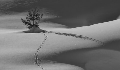 2018-02-02-04-capanna-mautino, alpes-aventure-ski-randonnee-capanna-mautino-dormillouse2018-02-03-045