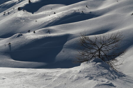 2018-02-02-04-capanna-mautino, alpes-aventure-ski-randonnee-capanna-mautino-dormillouse2018-02-03-051