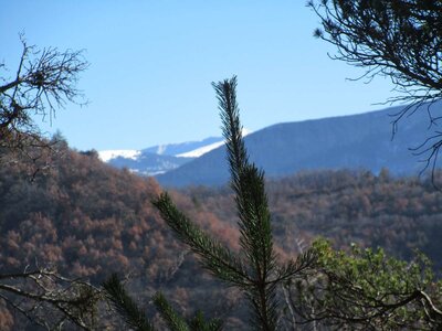 rando du mardi 13/02/2018, IMG_1066