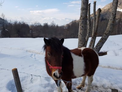 rando raquettes vendredi A.M 23/02/2018, 20180223_135140