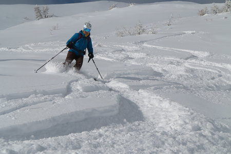 2018-02-05-09-ski-freerando-voie-lactee, alpes-aventure-ski-freerando-sestriere-pitre-aigle-2018-02-07-11
