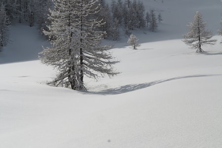 2018-02-05-09-ski-freerando-voie-lactee, alpes-aventure-ski-freerando-sestriere-pitre-aigle-2018-02-07-13