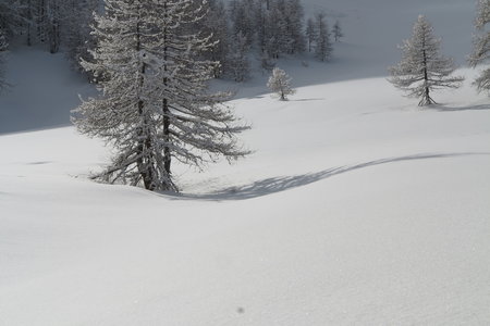2018-02-05-09-ski-freerando-voie-lactee, alpes-aventure-ski-freerando-sestriere-pitre-aigle-2018-02-07-14