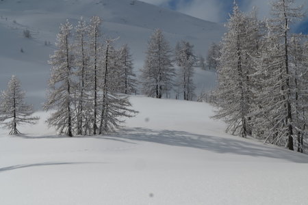 2018-02-05-09-ski-freerando-voie-lactee, alpes-aventure-ski-freerando-sestriere-pitre-aigle-2018-02-07-17