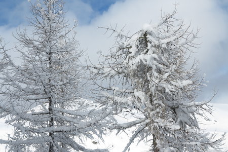 2018-02-05-09-ski-freerando-voie-lactee, alpes-aventure-ski-freerando-sestriere-pitre-aigle-2018-02-07-20