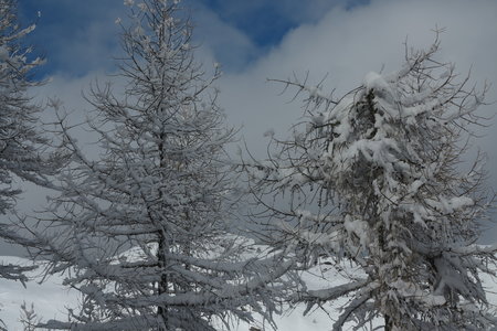 2018-02-05-09-ski-freerando-voie-lactee, alpes-aventure-ski-freerando-sestriere-pitre-aigle-2018-02-07-21