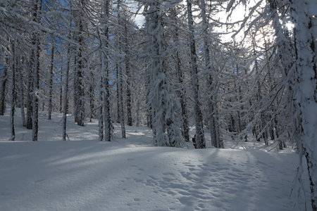 2018-02-05-09-ski-freerando-voie-lactee, alpes-aventure-ski-freerando-sestriere-pitre-aigle-2018-02-07-54
