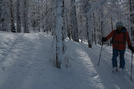 2018-02-05-09-ski-freerando-voie-lactee, alpes-aventure-ski-freerando-sestriere-pitre-aigle-2018-02-07-56