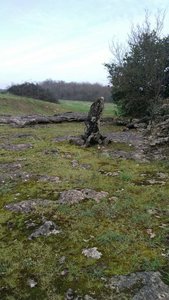 Blasimon 24/02/2018, P_20180224_1524381