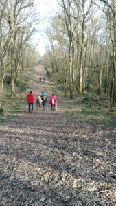 Blasimon 24/02/2018, P_20180224_1610591