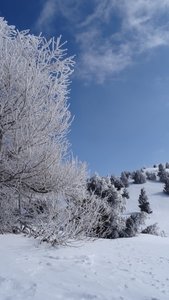 sortie raquettes du 27/02/2018, DSC09814  1 10