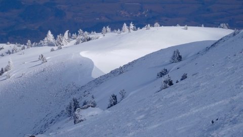 sortie raquettes du 27/02/2018, DSC0980412