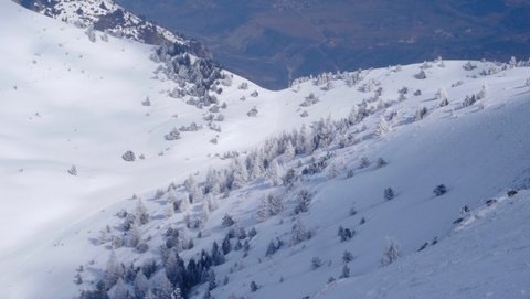 sortie raquettes du 27/02/2018, DSC0980513