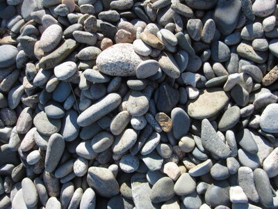 Nanatures - Rando Bretagne 2012, Juillet 2012 500