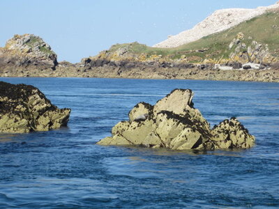 Nanatures - Rando Bretagne 2012, Juillet 2012 523