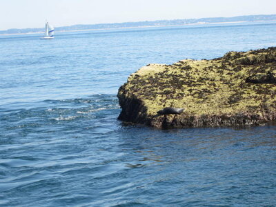 Nanatures - Rando Bretagne 2012, Juillet 2012 531