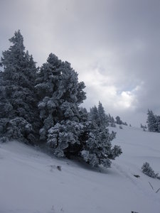 RCKV:sortie neige 3-4fevrier2018, P1070074