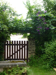 Jardin potager, P1050722