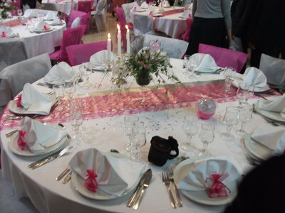Mariage 16 juin 2012, DSCF2060