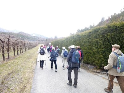 Photos Vendredi  A M 09/03/2018, P1040021