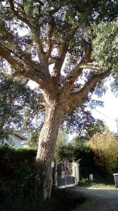 Fargues St Hilaire 10/03/2018, mms_img610280984  1 