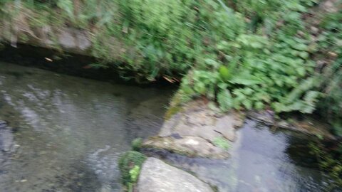 Fargues St Hilaire 10/03/2018, P_20180310_151826