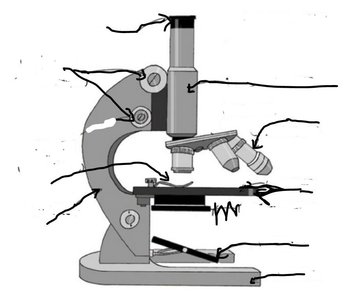 Voyage, microscope