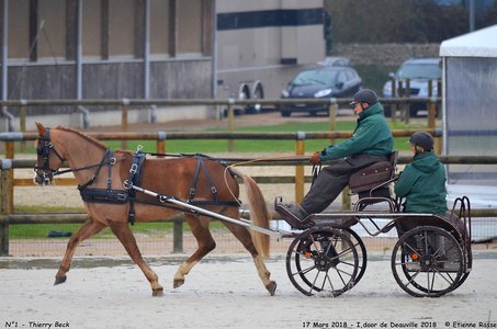 2018-03-17 Indoor de Deauvile-Epreuves du Samedi, 01-DSC_3790
