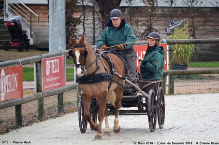 2018-03-17 Indoor de Deauvile-Epreuves du Samedi, 01-DSC_3792