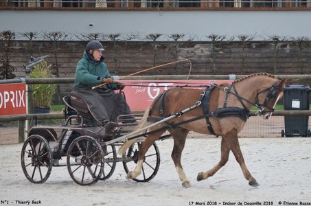 2018-03-17 Indoor de Deauvile-Epreuves du Samedi, 01-DSC_3800