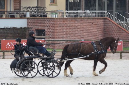 2018-03-17 Indoor de Deauvile-Epreuves du Samedi, 02-DSC_3771