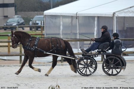 2018-03-17 Indoor de Deauvile-Epreuves du Samedi, 02-DSC_3774