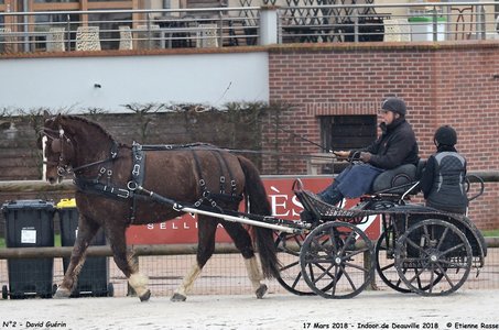 2018-03-17 Indoor de Deauvile-Epreuves du Samedi, 02-DSC_3775