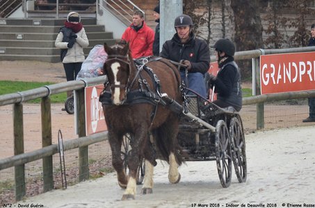 2018-03-17 Indoor de Deauvile-Epreuves du Samedi, 02-DSC_3776