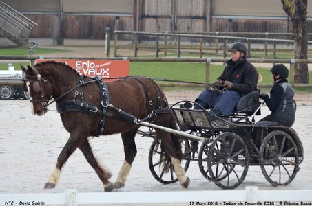 2018-03-17 Indoor de Deauvile-Epreuves du Samedi, 02-DSC_3777