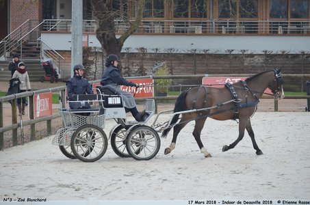 2018-03-17 Indoor de Deauvile-Epreuves du Samedi, 03-DSC_3804