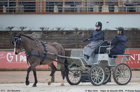 2018-03-17 Indoor de Deauvile-Epreuves du Samedi, 03-DSC_3809