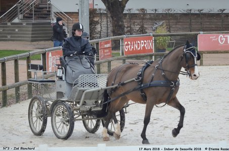 2018-03-17 Indoor de Deauvile-Epreuves du Samedi, 03-DSC_3811