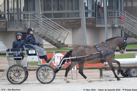 2018-03-17 Indoor de Deauvile-Epreuves du Samedi, 03-DSC_3812