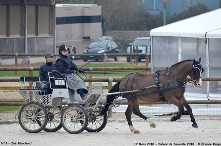 2018-03-17 Indoor de Deauvile-Epreuves du Samedi, 03-DSC_3814