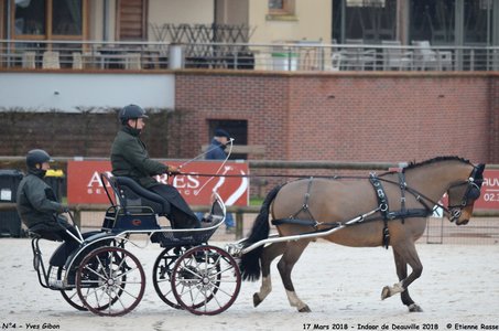 2018-03-17 Indoor de Deauvile-Epreuves du Samedi, 04-DSC_3778